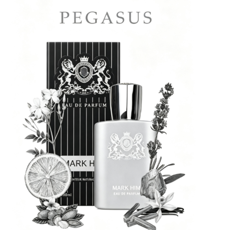 100ml 마크 히 남성 향수, 오래 지속되는 마그네틱 - Perfume Fragrance Man 리뷰 및 가격
